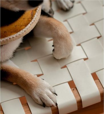 ホテル ノルディック デザイン 固い灰 木製 馬  седло 革 織物 座席 積み立てられる ダイニング 椅子 現代のカフェ・レストラン用